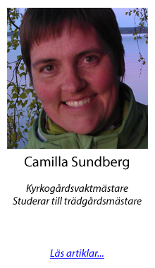 Camilla Sundberg