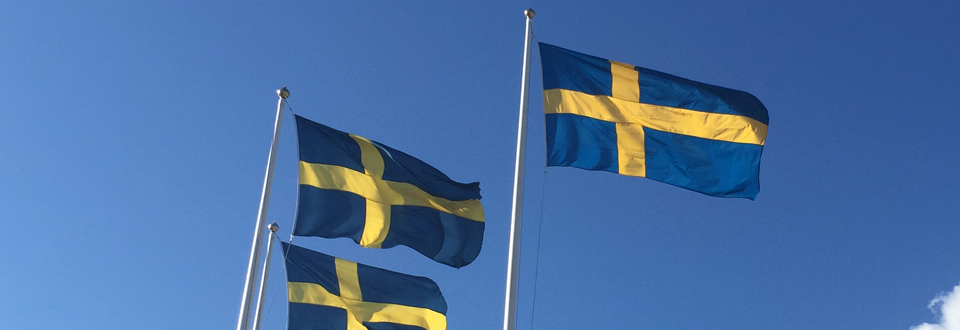 Svenska Flaggor på Nationaldagen i Gråbo - Nationaldagsfirande 2015 (Foto: Mikael Tilly)