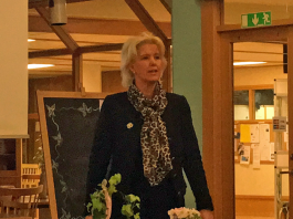 Eva Andersson (C) kommunalråd, belysning Sverigeleden
